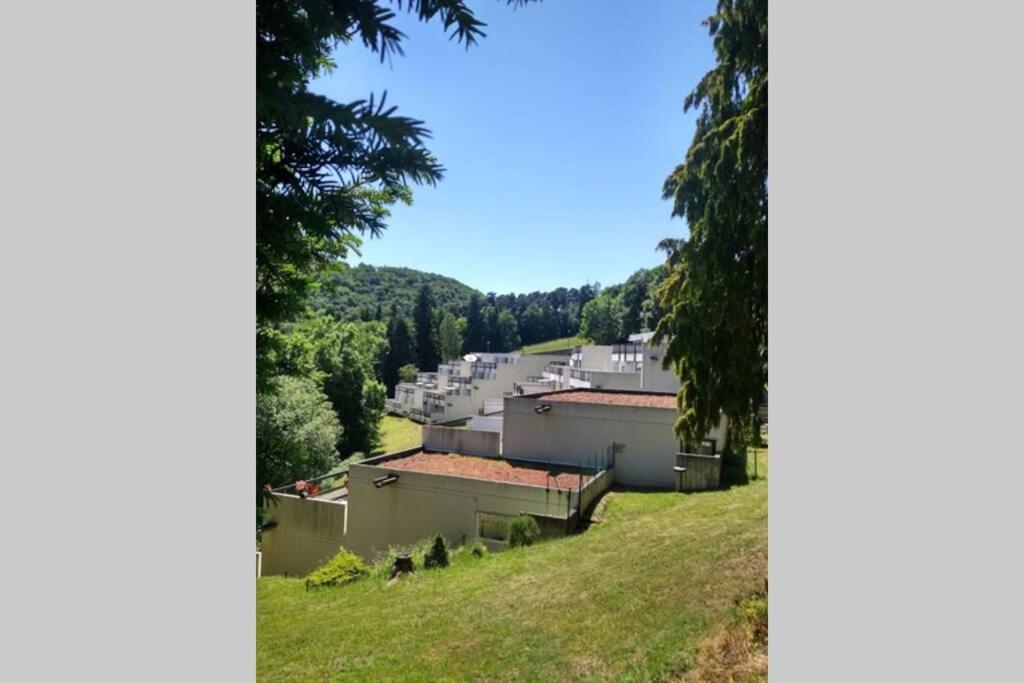 Studio Au Coeur Des Volcans D Auvergne - Murol Eksteriør billede