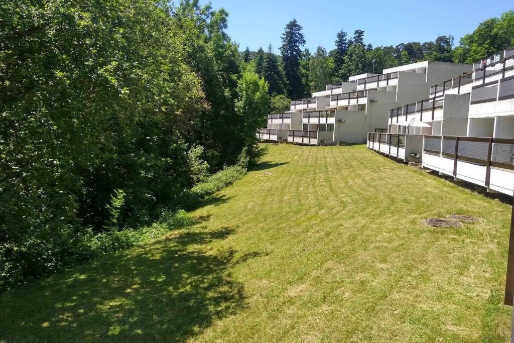Studio Au Coeur Des Volcans D Auvergne - Murol Eksteriør billede