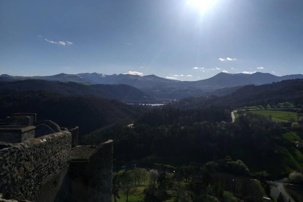 Studio Au Coeur Des Volcans D Auvergne - Murol Eksteriør billede